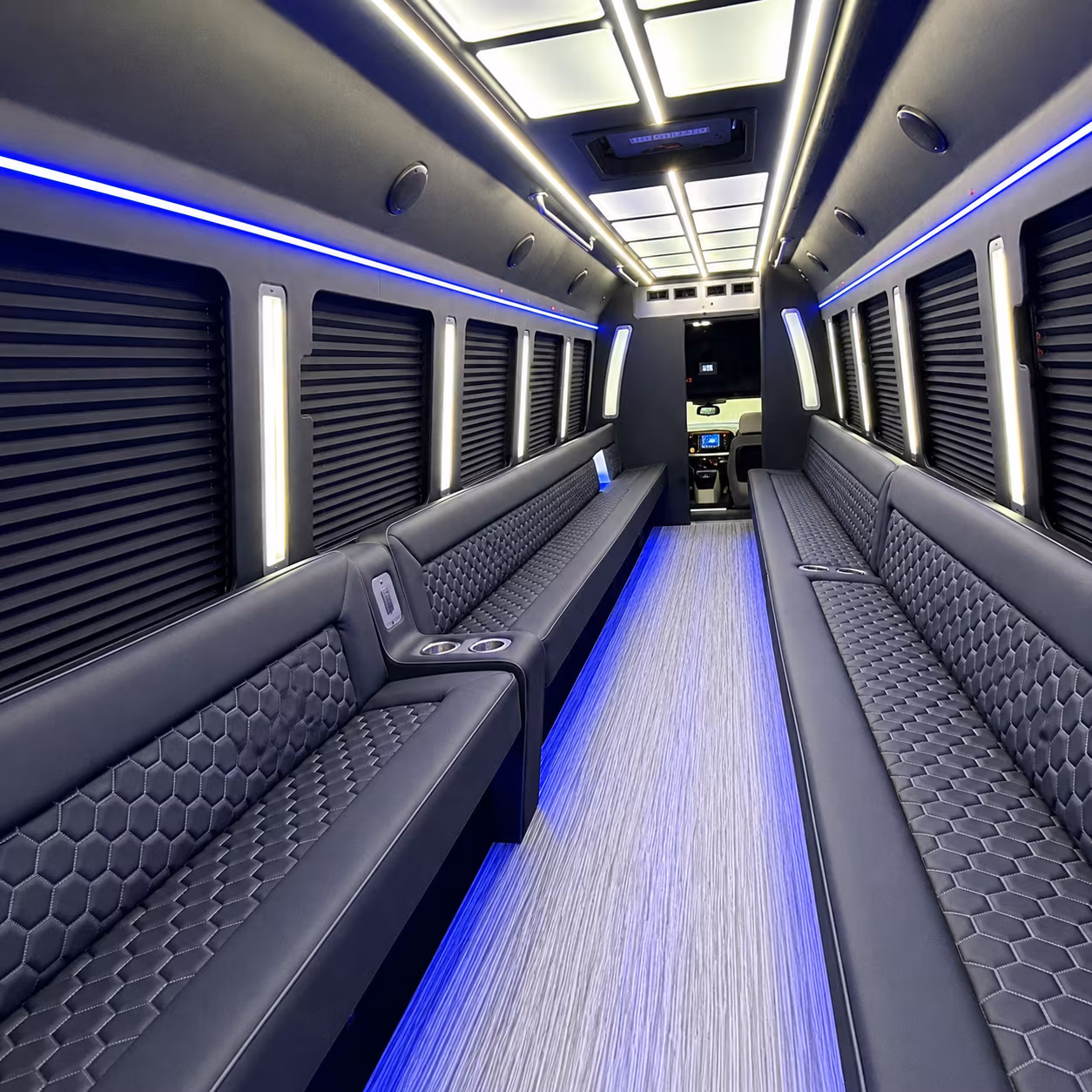 birthday party bus rentals for twins vikings and wild game days