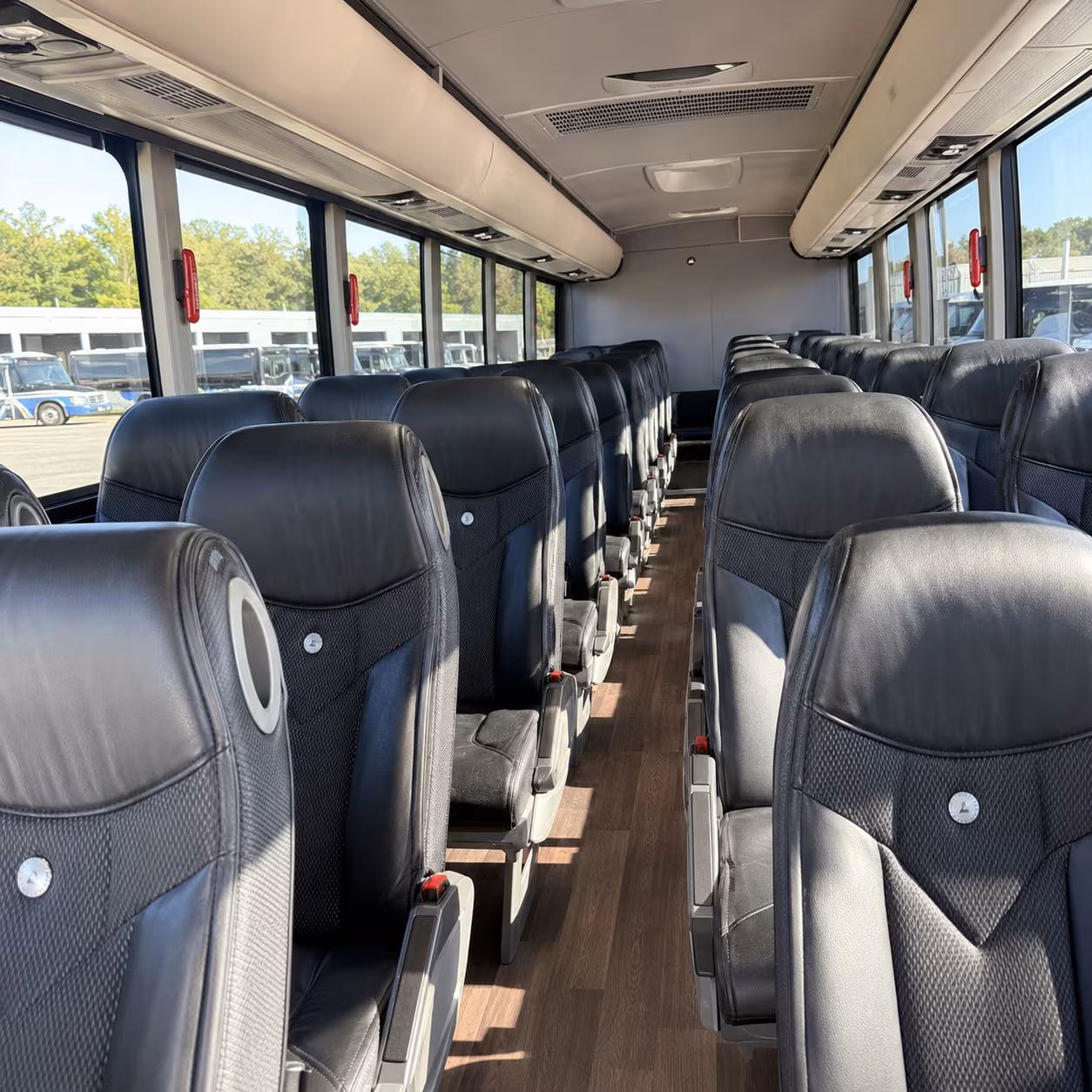 book the perfect ride for your next birthday 2