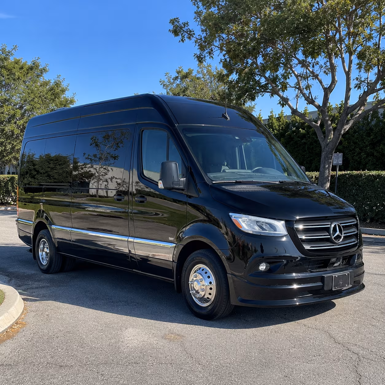sprinter van rentals for small wedding groups in plymouth